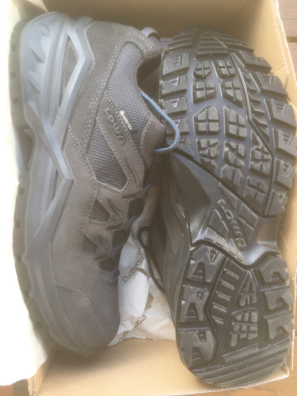 Boty Lowa GTX 