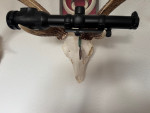 swarovski Z6I 1-6x24