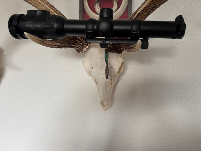 swarovski Z6I 1-6x24