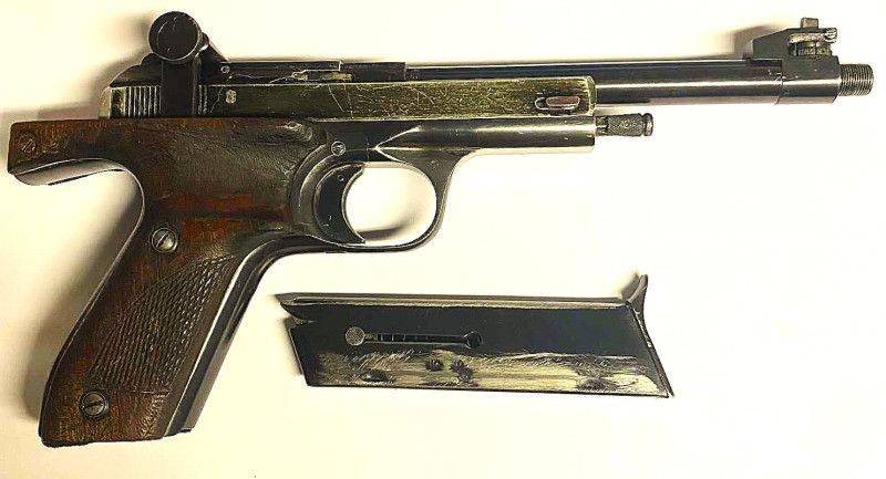 Margolin 22 Short