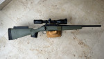 Ruger American Predator .308 