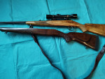 CZ 537