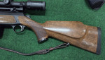 Sauer 303 