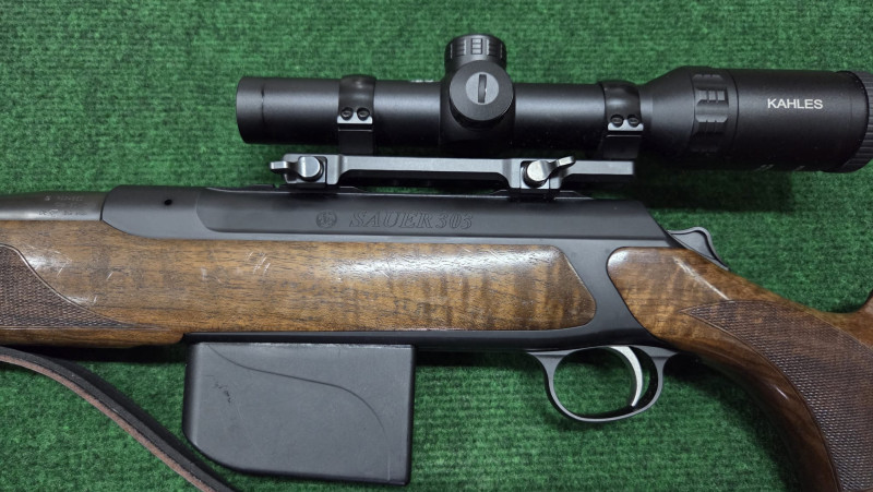 Sauer 303 