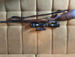 Cz500