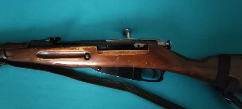 Mosin nagant 