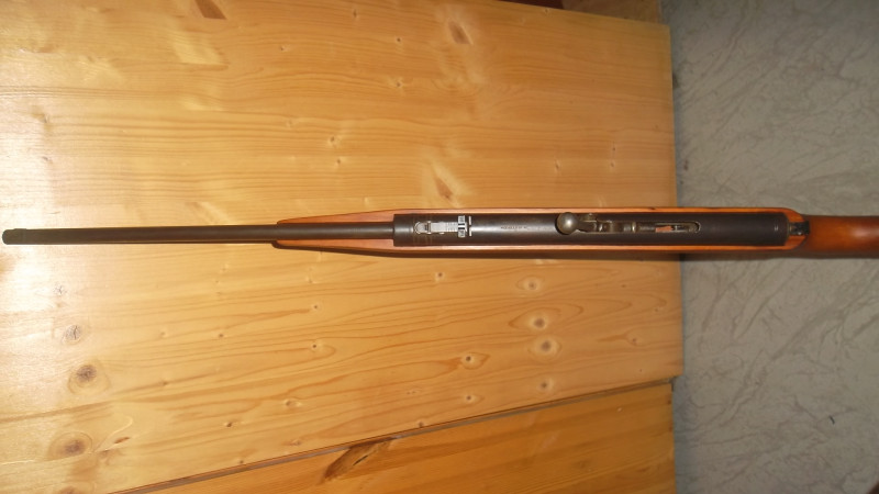 Suhl 310
