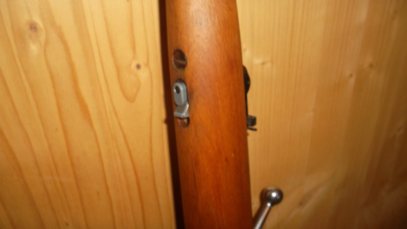 Suhl 310