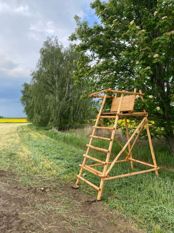 Posedy a jiné stavby