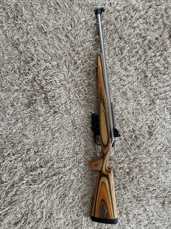 Tikka Arctic .308w
