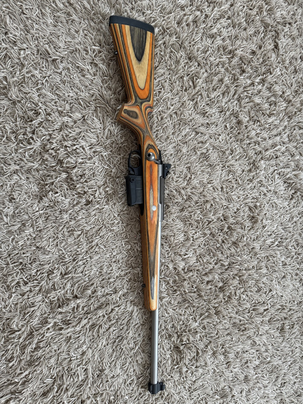 Tikka Arctic .308w