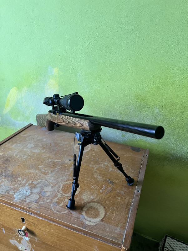 Prodám samonabíjecí Malorážku Ruger 10/22-T - Těžká hlaveň n