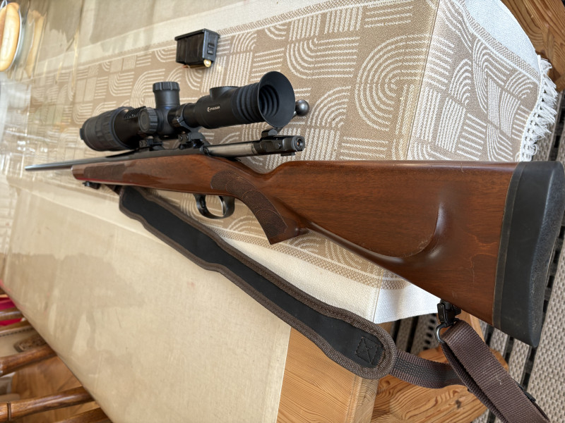CZ550 AMERICAN .243win