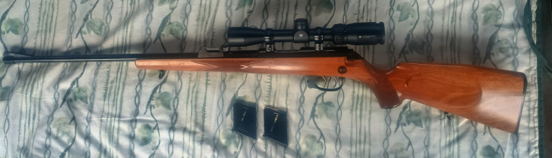 22 Hornet