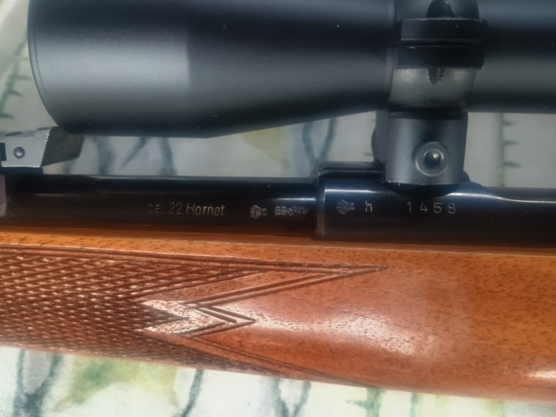 22 Hornet