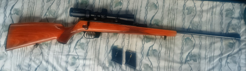 22 Hornet