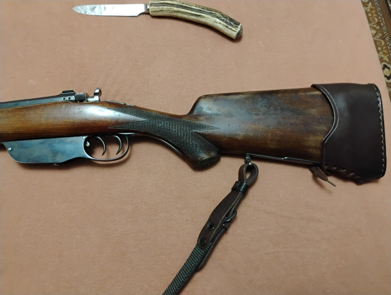 Mannlicher m95