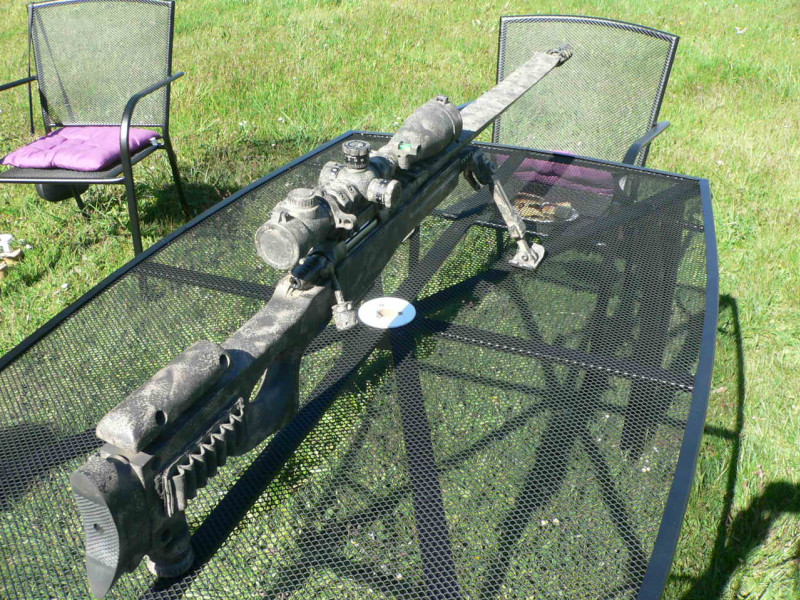 CZ 550