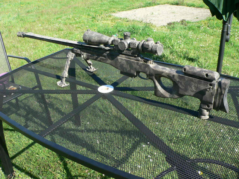 CZ 550