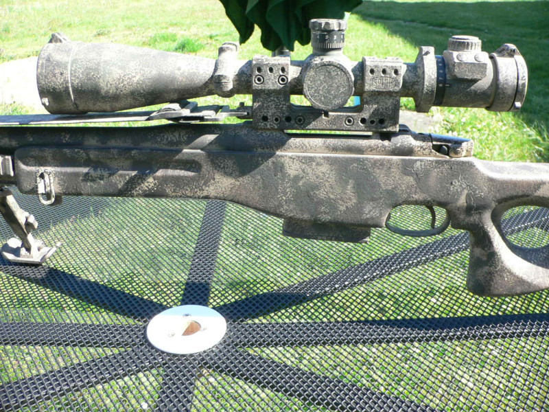 CZ 550