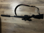 Tikka