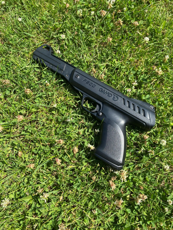 GAMO P900