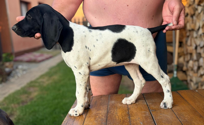 CHS Ze smrkoveho vrchu