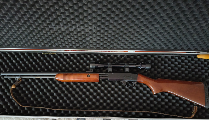 Remington Fieldmaster 572 Deluxe