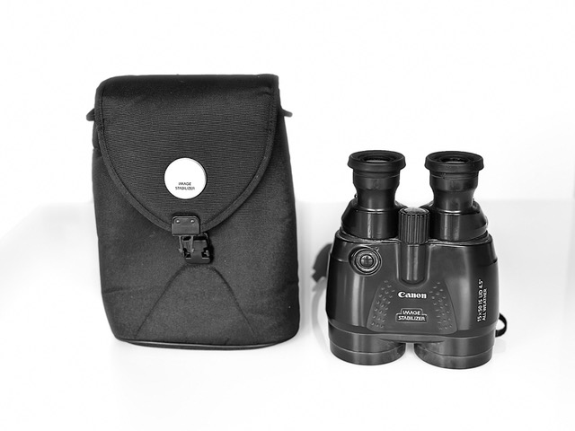 Canon 15x50 IS UD 4,5 all weather