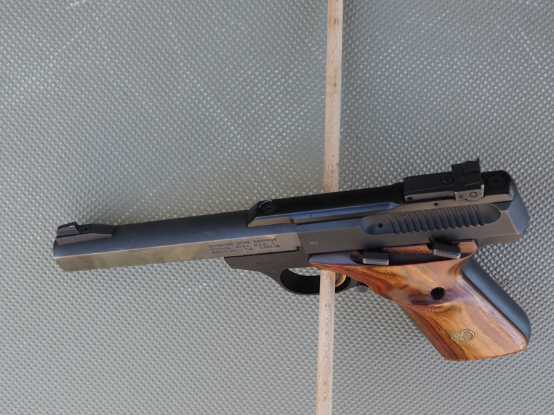 Buck Mark 22 Lr