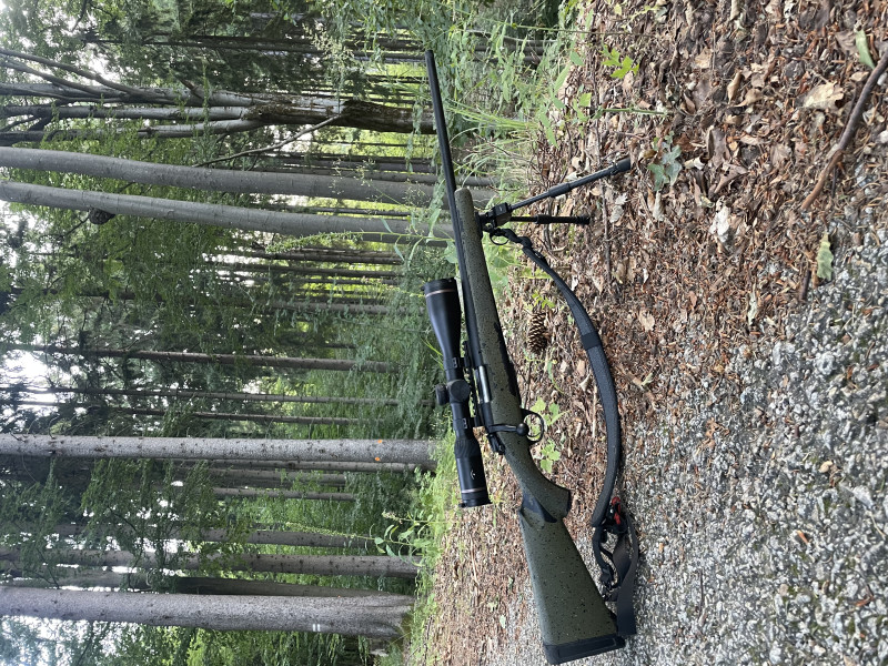 Bergara B14 hunter 308 win
