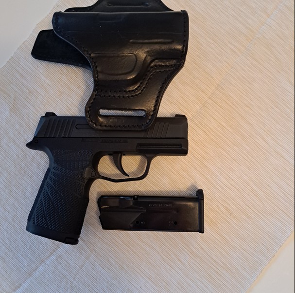 Sig Sauer P365