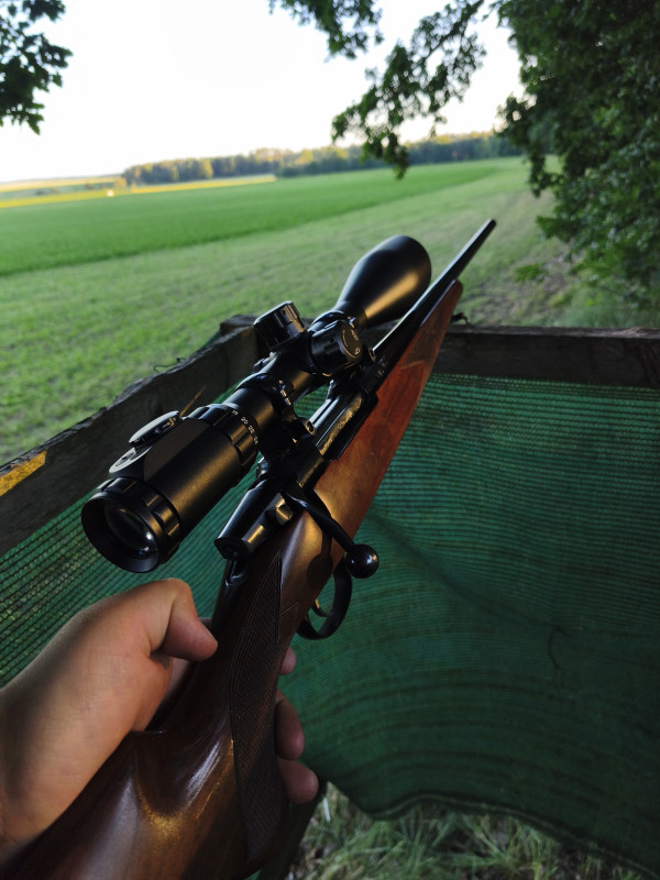 CZ 550 american 30-06 
