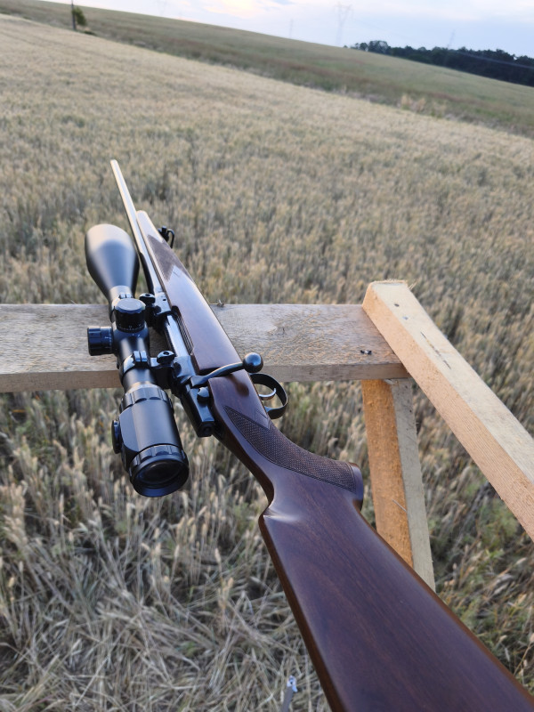 CZ 550 american 30-06 