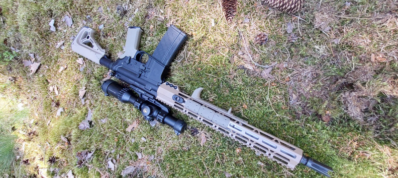 AR-15, SIG M400 TREAD