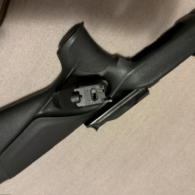 Blaser R8 Success 