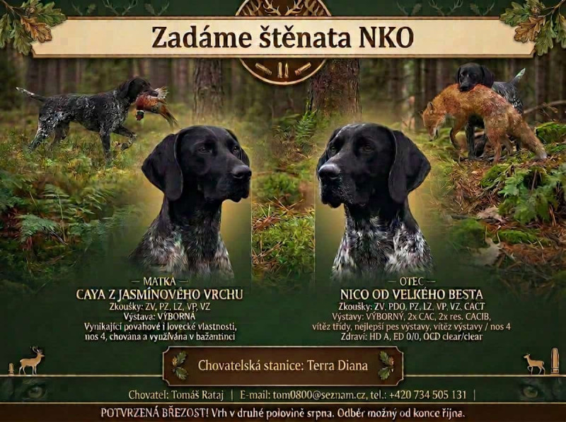 Přijmáme rezervace na štěňata NKO