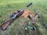 Blaser R93