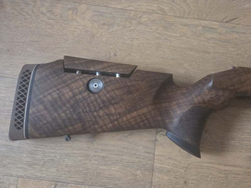 Blaser R8 