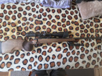 Cz 557 varmint