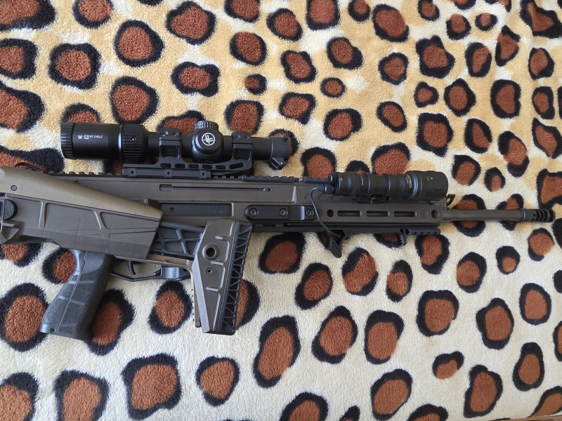 Cz Bren 2