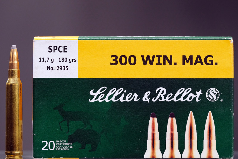 Sellier Bellot 300 Win mag