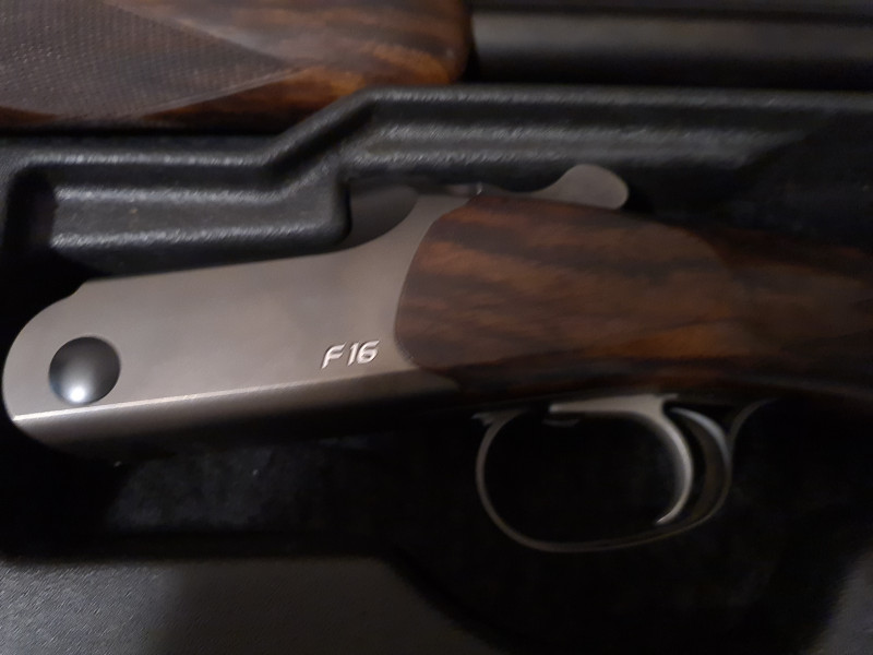 Blaser F16