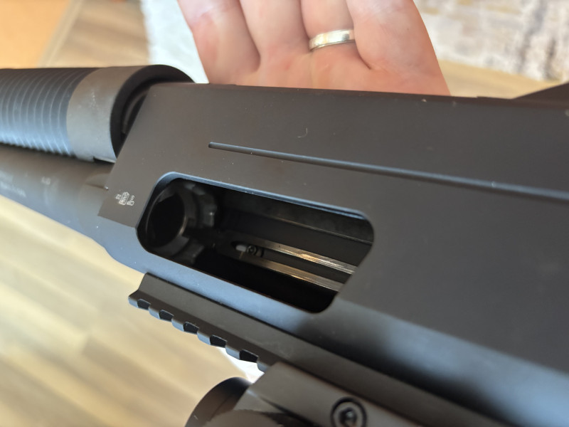 Winchester SXP