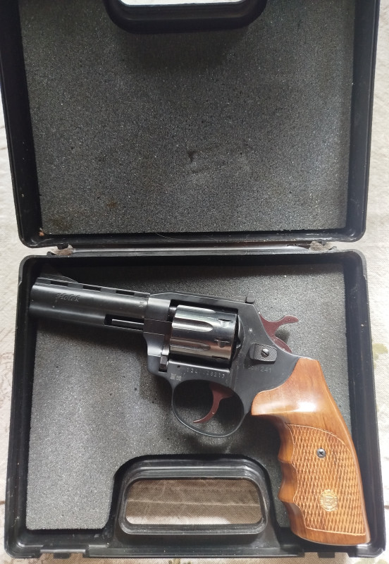 Holek 241 22LR