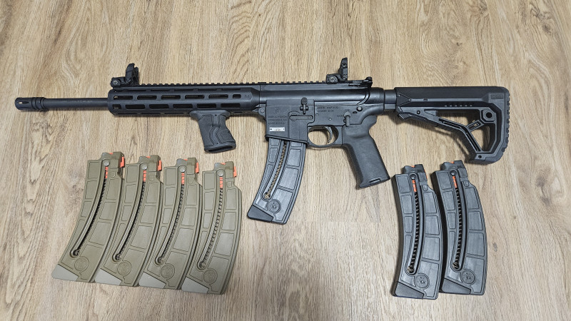 Smith and Wesson MP 15-22