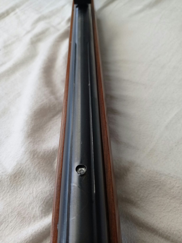 Gamo HUNTER DX
