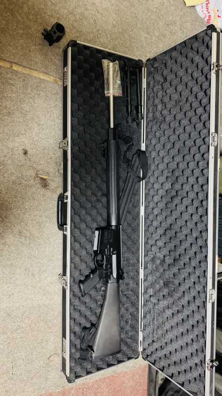 AR10 DPMS
