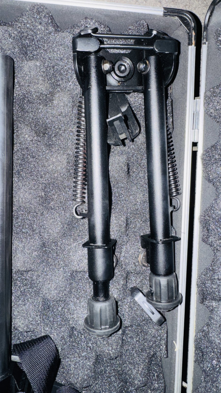 AR10 DPMS