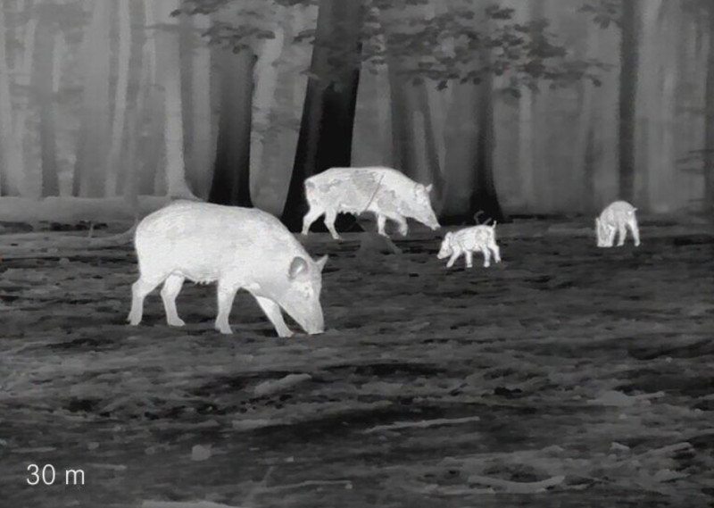 Termovizní předsádka Leica Calonox Sight SE